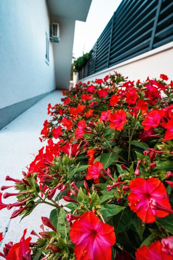 Villa Margita Split Eksteriør billede