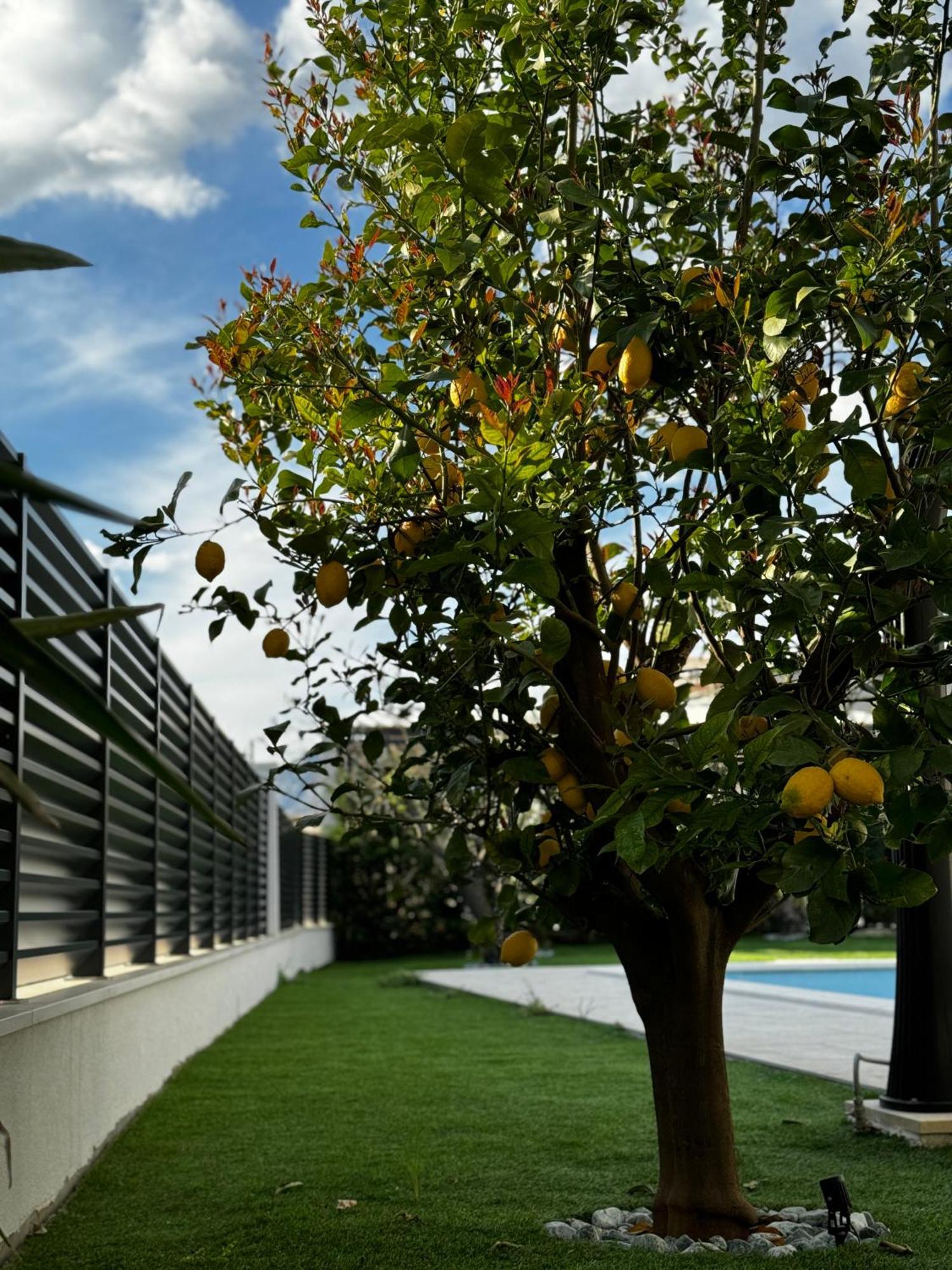 Villa Margita Split Eksteriør billede